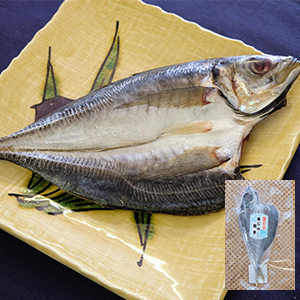 国内産あじの開き（特大・1尾入）